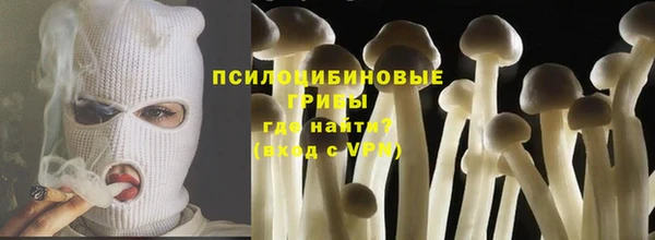 прущие грибы Арсеньев