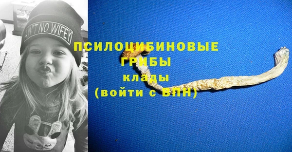 mdpv Алзамай